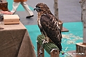 VBS_1881 - Torino Comics 2023